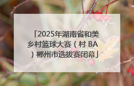 2025年湖南省和美乡村篮球大赛（村 BA）郴州市选拔赛闭幕