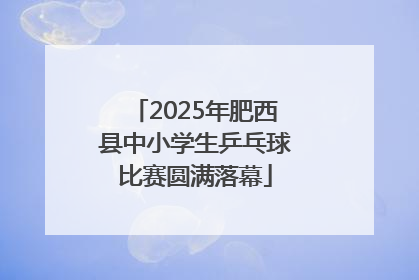 2025年肥西县中小学生乒乓球比赛圆满落幕
