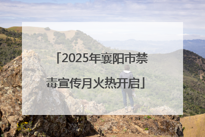 2025年襄阳市禁毒宣传月火热开启