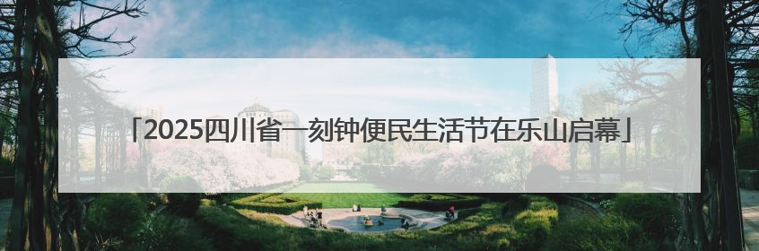 2025四川省一刻钟便民生活节在乐山启幕