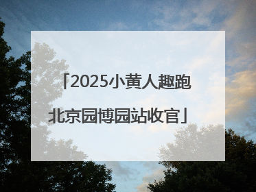 2025小黄人趣跑北京园博园站收官