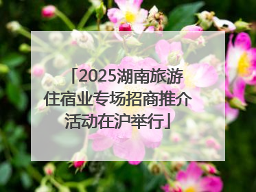 2025湖南旅游住宿业专场招商推介活动在沪举行