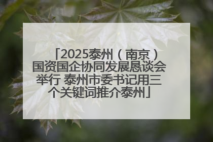 2025泰州（南京）国资国企协同发展恳谈会举行 泰州市委书记用三个关键词推介泰州