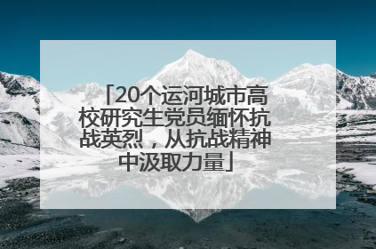 20个运河城市高校研究生党员缅怀抗战英烈，从抗战精神中汲取力量