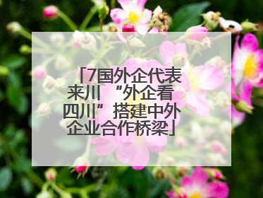 7国外企代表来川 “外企看四川”搭建中外企业合作桥梁