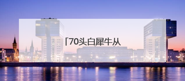 70头白犀牛从南非运抵卢旺达
