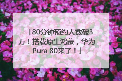80分钟预约人数破3万！搭载原生鸿蒙，华为Pura 80来了！