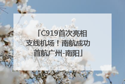 C919首次亮相支线机场！南航成功首航广州-南阳
