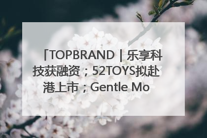 TOPBRAND｜乐享科技获融资；52TOYS拟赴港上市；Gentle Monster合作谷歌；Valentino传播官离职